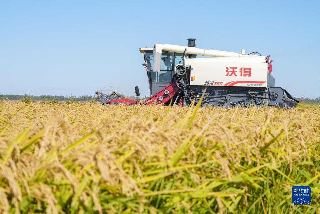 网上押注